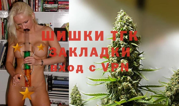 гидропоника Алзамай
