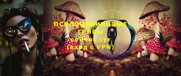 гидропоника Алзамай