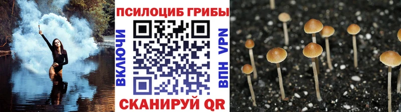 Галлюциногенные грибы мицелий mega как войти Венёв